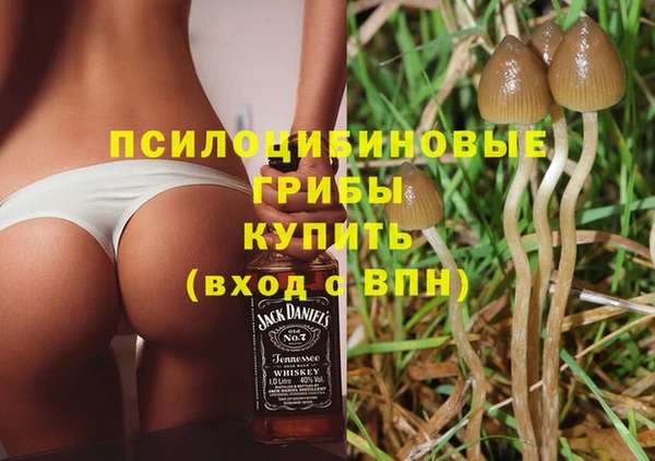 винт Новозыбков