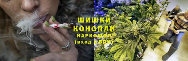 винт Новозыбков